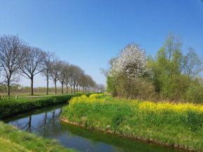 B&B Het Zwanennest, Lienden